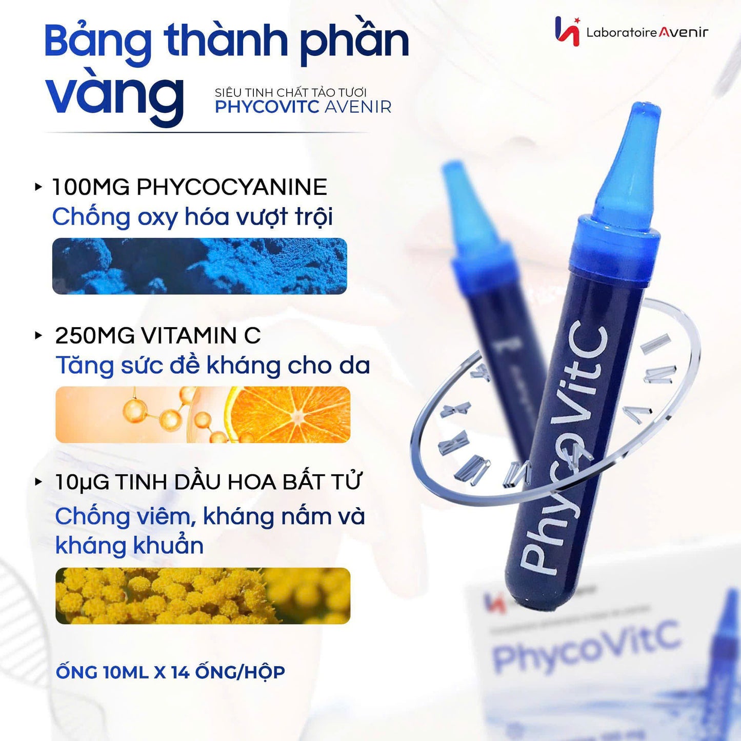 SIÊU TINH CHẤT TẢO PHÁP PHYCOVITC AVENIR