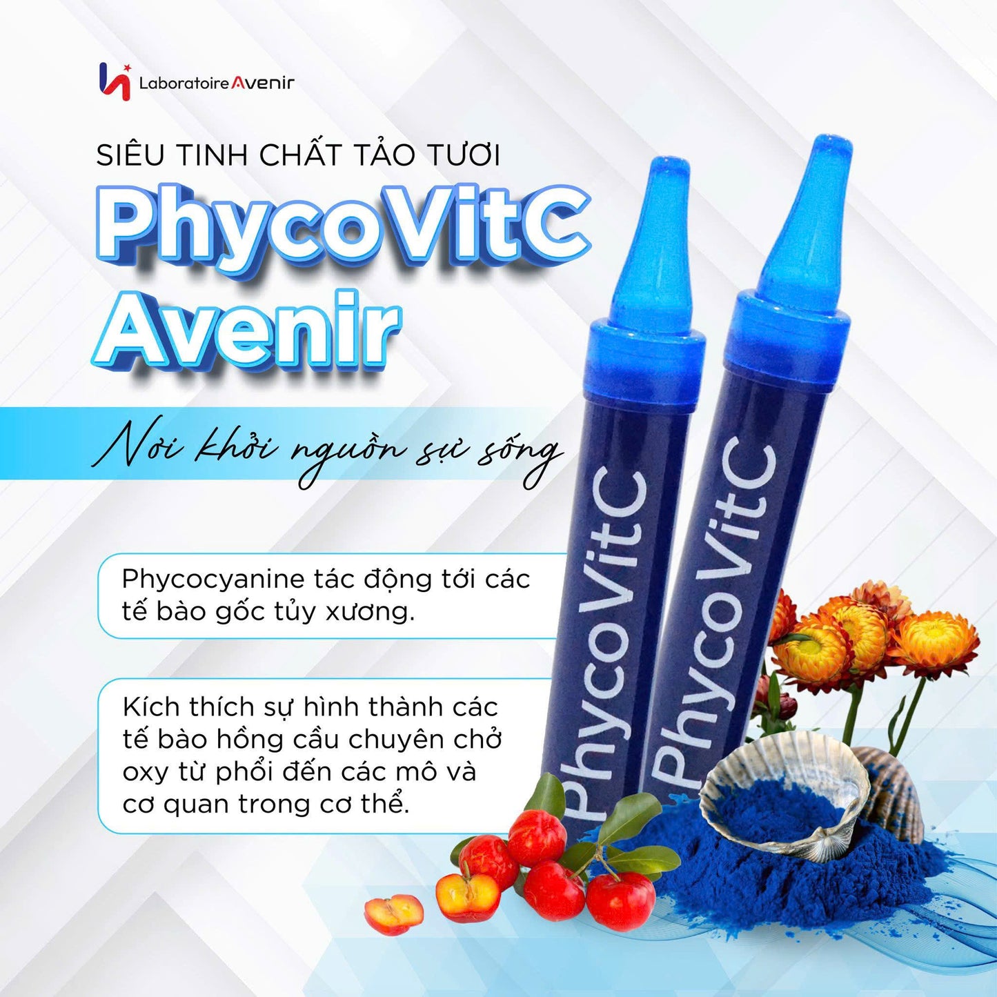SIÊU TINH CHẤT TẢO PHÁP PHYCOVITC AVENIR